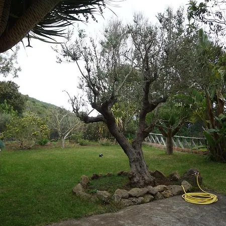 Canitas - Teneriffa Semesterbostad *